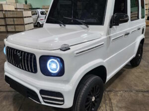 Coco Boxer Electric Golf Cart LSV 4 Passenger Low Speed Vehicle With AC & Heat - WHITE